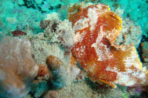 dream-beach-lodge (13)