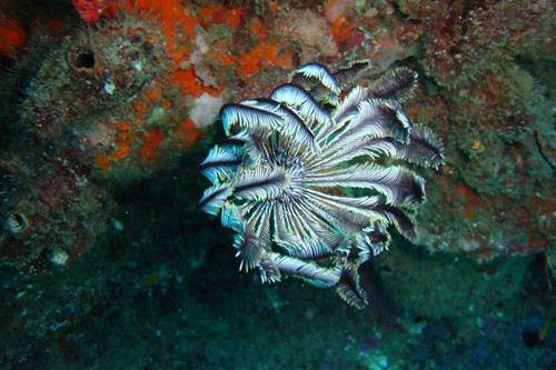 dream-beach-lodge (8)