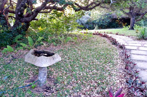 dream-beach-lodge-standard-chalets (8)